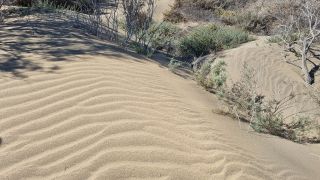 2023-GC--Mapalomas dunas-S123-151.jpg